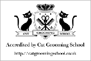cat-grooming-schoo.png